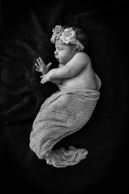 black and white newborn photo shoot near me local 