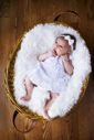 best newborn portrait photographer long island ny