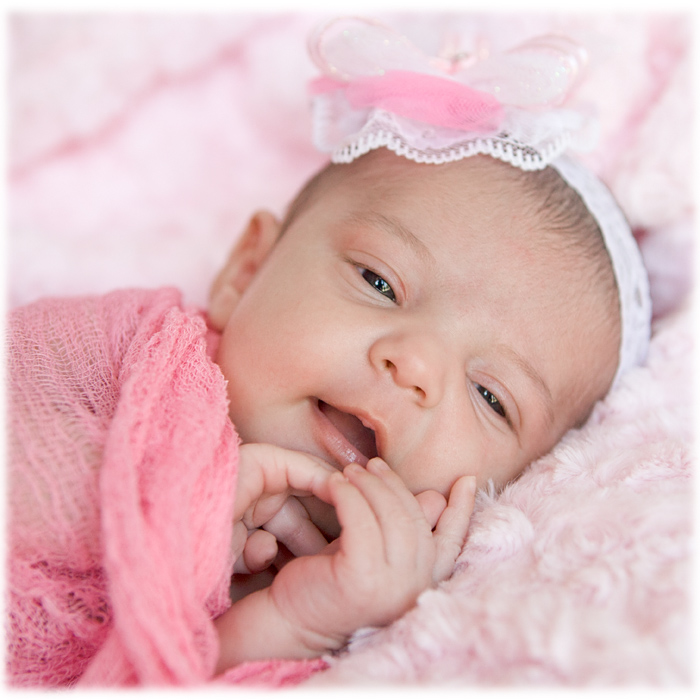 artistic newborn photography long island ny